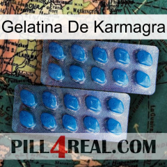 Karmagra Jelly viagra2